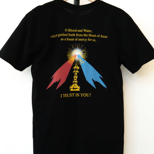 Live the Divine Mercy Message